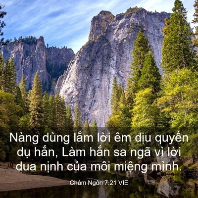 Picture 03 - Châm Ngôn 7:21 VIE - Nàng dùng lắm lời êm dịu quyến dụ - Bible Verse Picture
