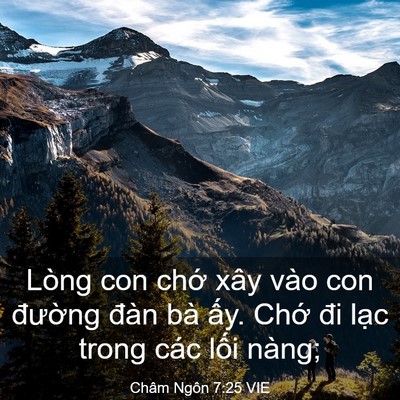 Picture 03 - Châm Ngôn 7:25 VIE - Lòng con chớ xây vào con đường đàn bà - Bible Verse Picture