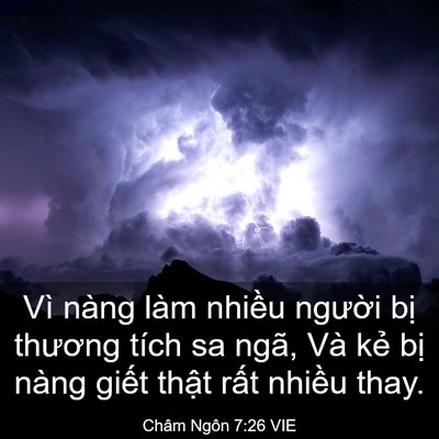 Picture 03 - Châm Ngôn 7:26 VIE - Vì nàng làm nhiều người bị thương - Bible Verse Picture