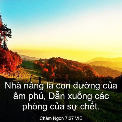 Picture 03 - Châm Ngôn 7:27 VIE - Nhà nàng là con đường của âm phủ, - Bible Verse Picture