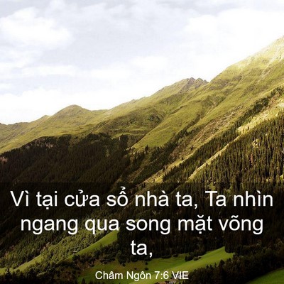 Picture 03 - Châm Ngôn 7:6 VIE - Vì tại cửa sổ nhà ta, Ta nhìn ngang qua - Bible Verse Picture