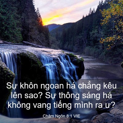 Picture 03 - Châm Ngôn 8:1 VIE - Sự khôn ngoan há chẳng kêu lên sao? Sự - Bible Verse Picture