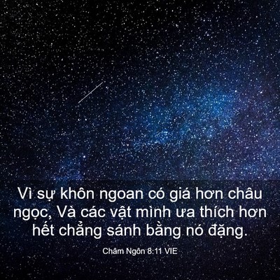 Picture 03 - Châm Ngôn 8:11 VIE - Vì sự khôn ngoan có giá hơn châu ngọc, - Bible Verse Picture