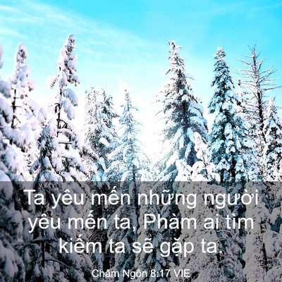 Picture 03 - Châm Ngôn 8:17 VIE - Ta yêu mến những người yêu mến ta, - Bible Verse Picture