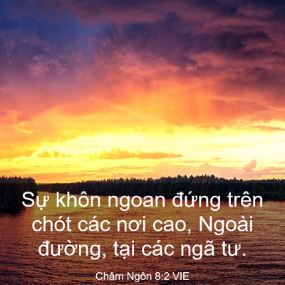 Picture 03 - Châm Ngôn 8:2 VIE - Sự khôn ngoan đứng trên chót các nơi - Bible Verse Picture