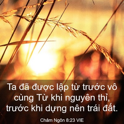 Picture 03 - Châm Ngôn 8:23 VIE - Ta đã được lập từ trước vô cùng - Bible Verse Picture