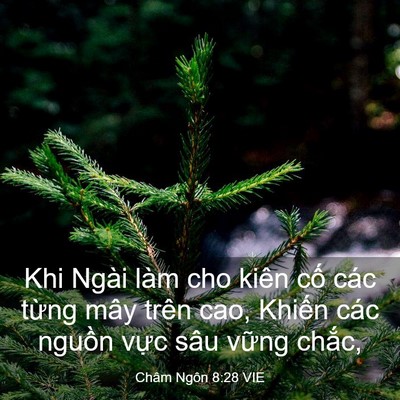 Picture 03 - Châm Ngôn 8:28 VIE - Khi Ngài làm cho kiên cố các từng mây - Bible Verse Picture