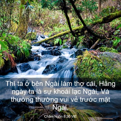 Picture 03 - Châm Ngôn 8:30 VIE - Thì ta ở bên Ngài làm thợ cái, Hằng - Bible Verse Picture