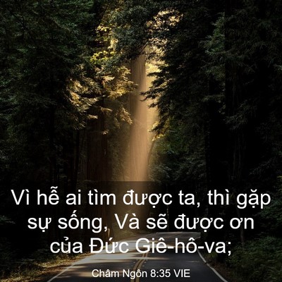 Picture 03 - Châm Ngôn 8:35 VIE - Vì hễ ai tìm được ta, thì gặp sự - Bible Verse Picture