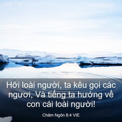 Picture 03 - Châm Ngôn 8:4 VIE - Hỡi loài người, ta kêu gọi các ngươi, - Bible Verse Picture