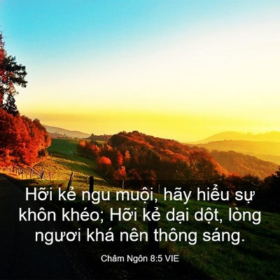 Picture 03 - Châm Ngôn 8:5 VIE - Hỡi kẻ ngu muội, hãy hiểu sự khôn - Bible Verse Picture