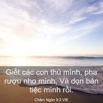 Picture 03 - Châm Ngôn 9:2 VIE - Giết các con thú mình, pha rượu nho - Bible Verse Picture