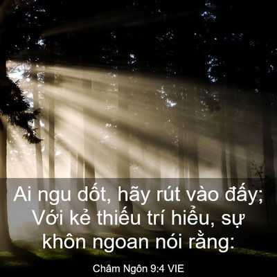 Picture 03 - Châm Ngôn 9:4 VIE - Ai ngu dốt, hãy rút vào đấy; Với kẻ - Bible Verse Picture