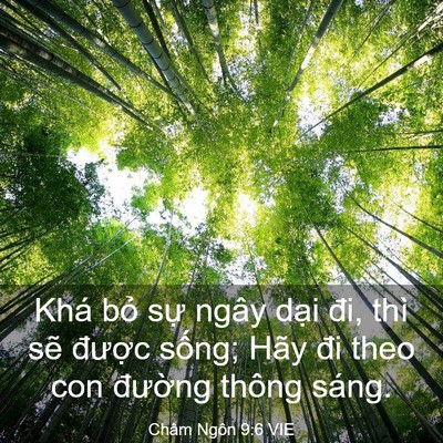 Picture 03 - Châm Ngôn 9:6 VIE - Khá bỏ sự ngây dại đi, thì sẽ - Bible Verse Picture