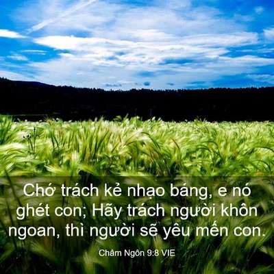 Picture 03 - Châm Ngôn 9:8 VIE - Chớ trách kẻ nhạo báng, e nó ghét con; - Bible Verse Picture