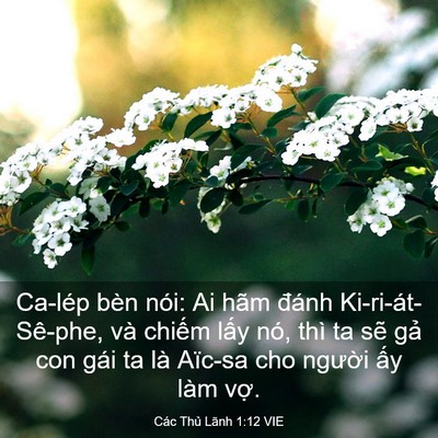 Picture 03 - Các Thủ Lãnh 1:12 VIE - Ca-lép bèn nói: Ai hãm đánh - Bible Verse Picture