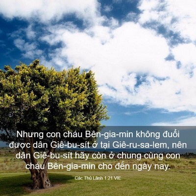 Picture 03 - Các Thủ Lãnh 1:21 VIE - Nhưng con cháu Bên-gia-min không đuổi - Bible Verse Picture