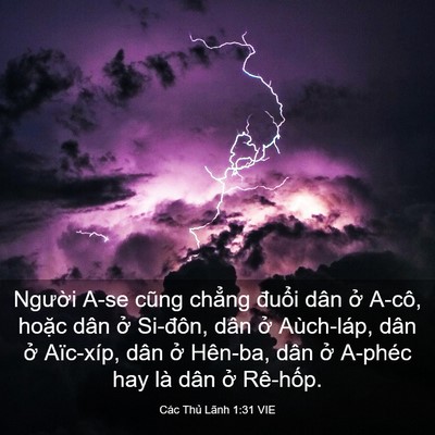Picture 03 - Các Thủ Lãnh 1:31 VIE - Người A-se cũng chẳng đuổi dân ở - Bible Verse Picture