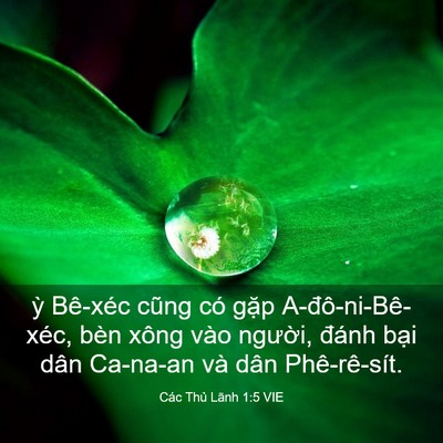 Picture 03 - Các Thủ Lãnh 1:5 VIE - ỳ Bê-xéc cũng có gặp A-đô-ni-Bê-xéc, - Bible Verse Picture