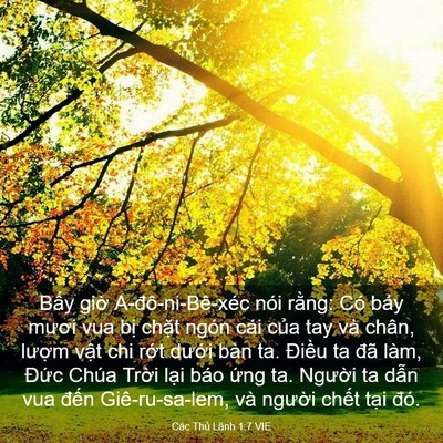 Picture 03 - Các Thủ Lãnh 1:7 VIE - Bấy giờ A-đô-ni-Bê-xéc nói rằng: Có - Bible Verse Picture
