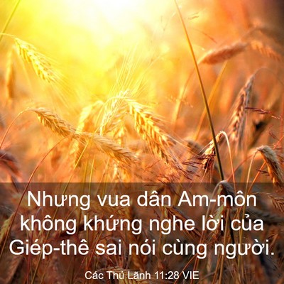 Picture 03 - Các Thủ Lãnh 11:28 VIE - Nhưng vua dân Am-môn không khứng nghe lời - Bible Verse Picture