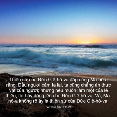 Picture 03 - Các Thủ Lãnh 13:16 VIE - Thiên sứ của Đức Giê-hô-va đáp cùng - Bible Verse Picture
