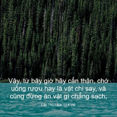 Picture 03 - Các Thủ Lãnh 13:4 VIE - Vậy, từ bây giờ hãy cẩn thận, chớ - Bible Verse Picture