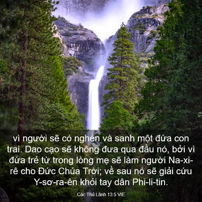 Picture 03 - Các Thủ Lãnh 13:5 VIE - vì người sẽ có nghén và sanh một - Bible Verse Picture