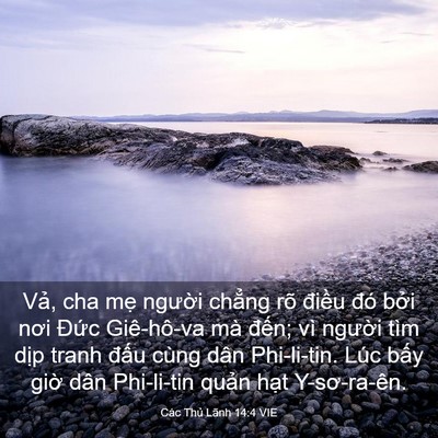Picture 03 - Các Thủ Lãnh 14:4 VIE - Vả, cha mẹ người chẳng rõ điều đó - Bible Verse Picture
