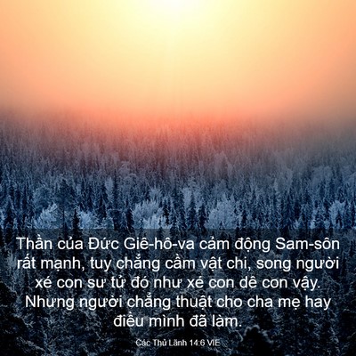 Picture 03 - Các Thủ Lãnh 14:6 VIE - Thần của Đức Giê-hô-va cảm động - Bible Verse Picture