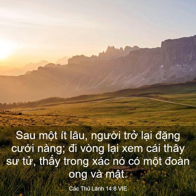 Picture 03 - Các Thủ Lãnh 14:8 VIE - Sau một ít lâu, người trở lại đặng - Bible Verse Picture