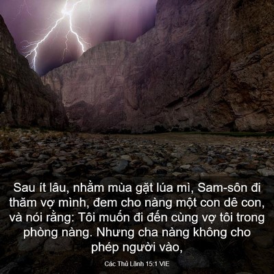 Picture 03 - Các Thủ Lãnh 15:1 VIE - Sau ít lâu, nhằm mùa gặt lúa mì, - Bible Verse Picture