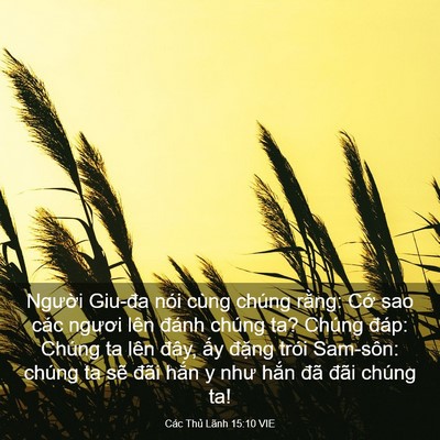 Picture 03 - Các Thủ Lãnh 15:10 VIE - Người Giu-đa nói cùng chúng rằng: Cớ - Bible Verse Picture