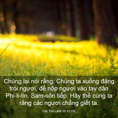 Picture 03 - Các Thủ Lãnh 15:12 VIE - Chúng lại nói rằng: Chúng ta xuống - Bible Verse Picture