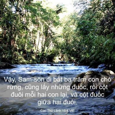 Picture 03 - Các Thủ Lãnh 15:4 VIE - Vậy, Sam-sôn đi bắt ba trăm con chó - Bible Verse Picture