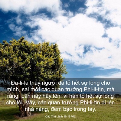 Picture 03 - Các Thủ Lãnh 16:18 VIE - Đa-li-la thấy người đã tỏ hết sự - Bible Verse Picture