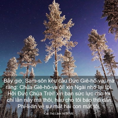 Picture 03 - Các Thủ Lãnh 16:28 VIE - Bấy giờ, Sam-sôn kêu cầu Đức - Bible Verse Picture