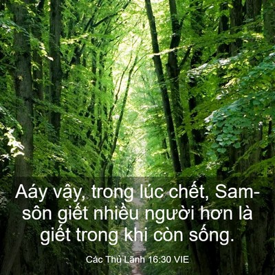 Picture 03 - Các Thủ Lãnh 16:30 VIE - Aáy vậy, trong lúc chết, Sam-sôn giết - Bible Verse Picture