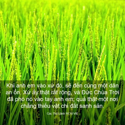 Picture 03 - Các Thủ Lãnh 18:10 VIE - Khi anh em vào xứ đó, sẽ đến cùng - Bible Verse Picture