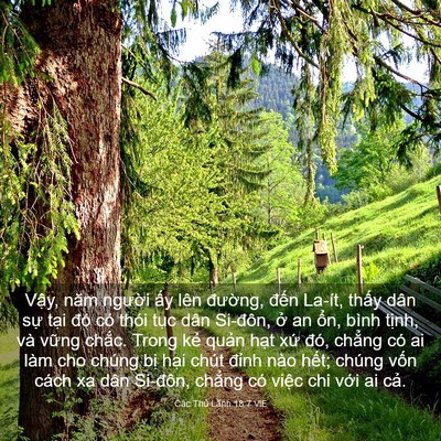 Picture 03 - Các Thủ Lãnh 18:7 VIE - Vậy, năm người ấy lên đường, đến - Bible Verse Picture