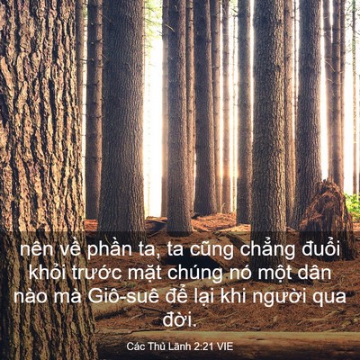 Picture 03 - Các Thủ Lãnh 2:21 VIE - nên về phần ta, ta cũng chẳng đuổi - Bible Verse Picture