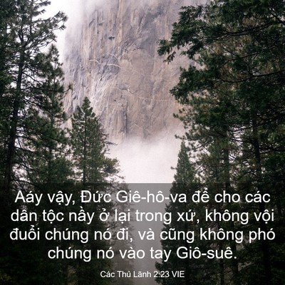 Picture 03 - Các Thủ Lãnh 2:23 VIE - Aáy vậy, Đức Giê-hô-va để cho các - Bible Verse Picture