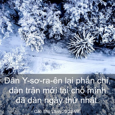 Picture 03 - Các Thủ Lãnh 20:22 VIE - Dân Y-sơ-ra-ên lại phấn chí, dàn trận - Bible Verse Picture