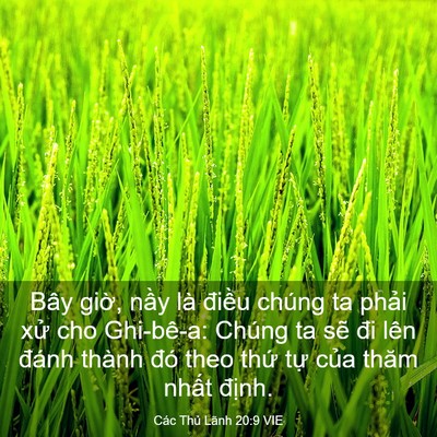 Picture 03 - Các Thủ Lãnh 20:9 VIE - Bây giờ, nầy là điều chúng ta phải - Bible Verse Picture