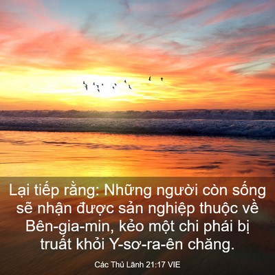Picture 03 - Các Thủ Lãnh 21:17 VIE - Lại tiếp rằng: Những người còn sống - Bible Verse Picture