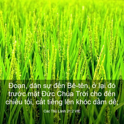 Picture 03 - Các Thủ Lãnh 21:2 VIE - Đoạn, dân sự đến Bê-tên, ở lại - Bible Verse Picture