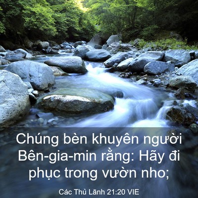 Picture 03 - Các Thủ Lãnh 21:20 VIE - Chúng bèn khuyên người Bên-gia-min rằng: - Bible Verse Picture