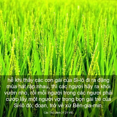 Picture 03 - Các Thủ Lãnh 21:21 VIE - hễ khi thấy các con gái của Si-lô đi ra - Bible Verse Picture