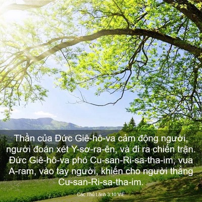Picture 03 - Các Thủ Lãnh 3:10 VIE - Thần của Đức Giê-hô-va cảm động - Bible Verse Picture