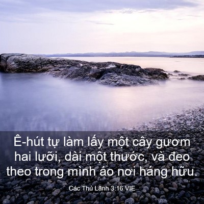 Picture 03 - Các Thủ Lãnh 3:16 VIE - Ê-hút tự làm lấy một cây gươm hai - Bible Verse Picture